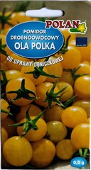 Tomatid Ola Polka Polan hind ja info | Köögivilja-, marjaseemned | kaup24.ee