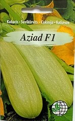 Кабачok Aziad F1, 5 семян цена и информация | Семена овощей, ягод | kaup24.ee