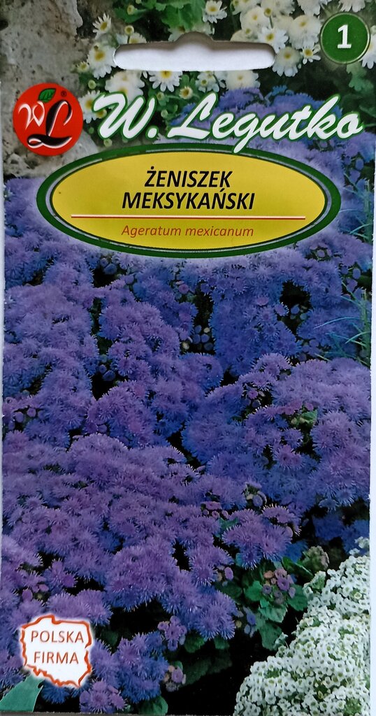 Mehhiko päsmaslill, sinine hind ja info | Lilleseemned | kaup24.ee