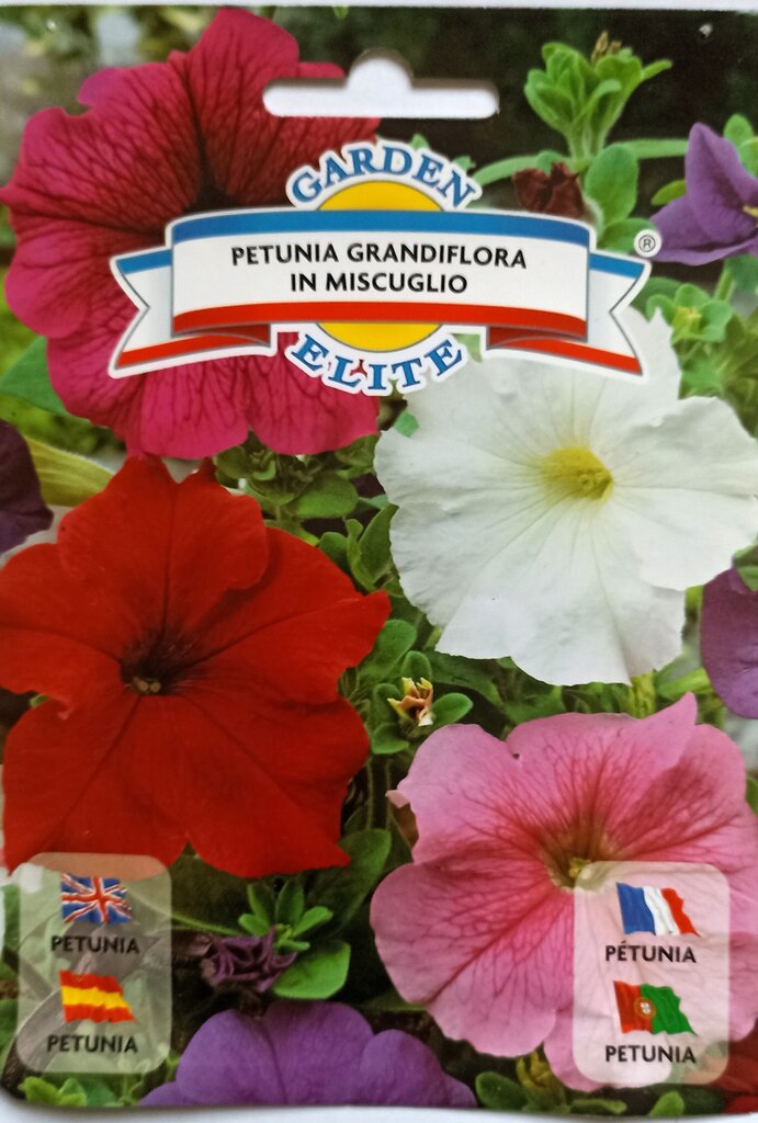 Suureõieline petuunia segu, 0,4 g hind ja info | Lilleseemned | kaup24.ee