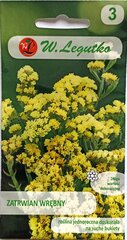 Kääruline Parkjuur, kollane, 2 tk цена и информация | Семена цветов | kaup24.ee