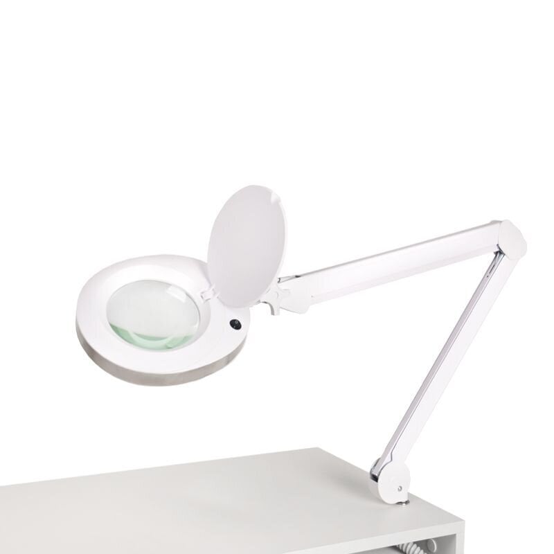 Torulambi hoidja Inox цена и информация | Süvistatavad ja LED valgustid | kaup24.ee