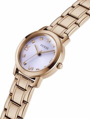 Часы Guess GW0532L3 цена и информация | Женские часы | kaup24.ee