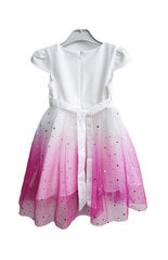 Kleit tüdrukule, roosa цена и информация | Платья для девочек | kaup24.ee