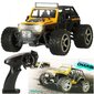 Kaugjuhtimispuldiga auto RC WLToys 22201 1:22 2WD hind ja info | Poiste mänguasjad | kaup24.ee