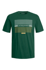 Jack & Jones T-särk meestele 12247810DARKGREEN-M hind ja info | Meeste T-särgid | kaup24.ee