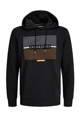 Jack & Jones спортивный свитер, черный цена и информация | Мужские толстовки | kaup24.ee