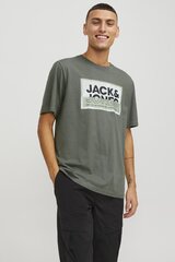 Jack & Jones T-särk meestele 12253442AGAVEGREEN-M, roheline цена и информация | Мужские футболки | kaup24.ee