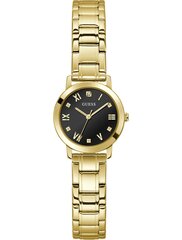 Часы Guess GW0532L4 цена и информация | Женские часы | kaup24.ee