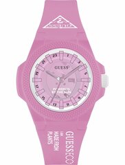 Käekell Guess GW0587L3 цена и информация | Женские часы | kaup24.ee