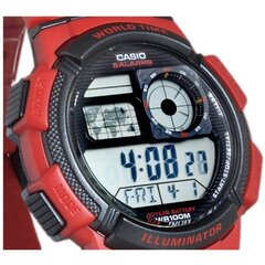 Часы Casio AE-1000W-4AVEF цена и информация | Мужские часы | kaup24.ee