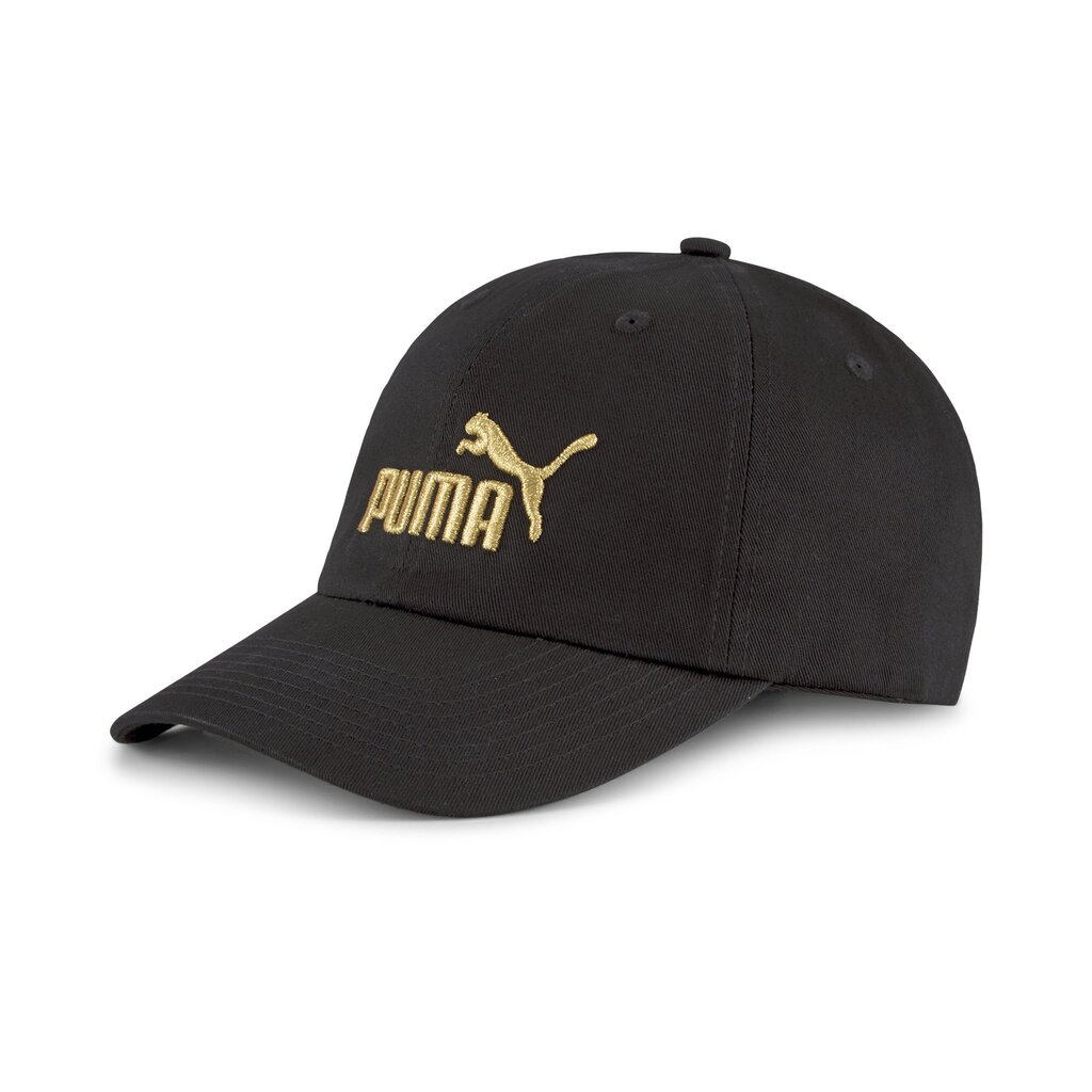Nokamüts Puma 02241674 hind ja info | Naiste mütsid ja peapaelad | kaup24.ee