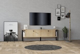 TV alus Asir, 160x50,4x24,5 cm, beež hind ja info | TV alused | kaup24.ee