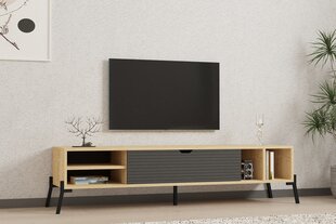 TV alus Asir, 160x36x40 cm, beež/hall hind ja info | TV alused | kaup24.ee