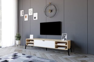 TV alus Asir, 160x36x40 cm, helepruun/valge hind ja info | TV alused | kaup24.ee