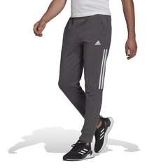 Spordipüksid meestele Adidas Motion, hall hind ja info | Meeste spordiriided | kaup24.ee