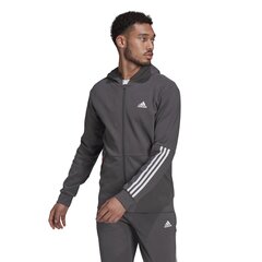 Pusa meestele Adidas Motion FZ Hood, hall цена и информация | Мужские толстовки | kaup24.ee