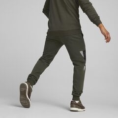 Мужские брюки PUMA Puma Power Logo Sweatpants Fl Forest, зеленые цена и информация | Мужская спортивная одежда | kaup24.ee