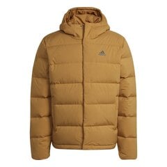 Jope meestele Adidas Helionic HO JKT, pruun цена и информация | Мужские куртки | kaup24.ee