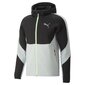 Pusa meestele Puma 673313514065453083198 hind ja info | Meeste spordiriided | kaup24.ee