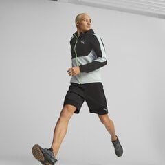 Блуза PUMA EVOSTRIPE цена и информация | Мужская спортивная одежда | kaup24.ee