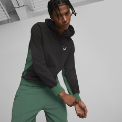 Mужская толстовка PUMA CLASSICS Block Hoodie цена и информация | Мужские толстовки | kaup24.ee