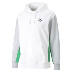 Mужская толстовка PUMA CLASSICS Block Hoodie цена и информация | Мужские толстовки | kaup24.ee