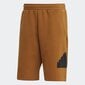 Lühikesed püksid meestele Adidas, pruun hind ja info | Meeste lühikesed püksid | kaup24.ee