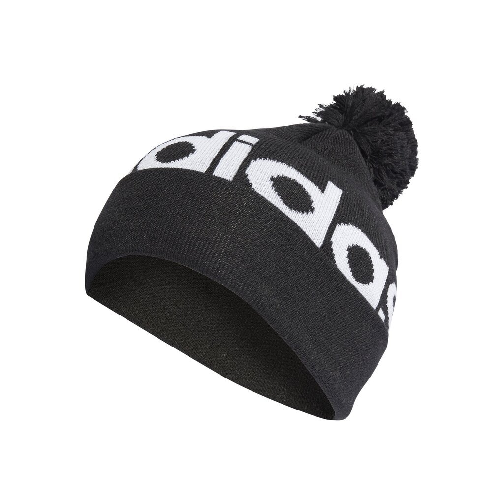 Talvemüts Adidas Pompom Beanie цена и информация | Meeste sallid, mütsid ja kindad | kaup24.ee