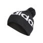 Talvemüts Adidas Pompom Beanie hind ja info | Meeste sallid, mütsid ja kindad | kaup24.ee