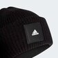 Talvemüts Adidas Wid Cuff Beanie hind ja info | Meeste sallid, mütsid ja kindad | kaup24.ee