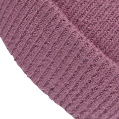 Talvemüts Adidas Wid Cuff Beanie hind ja info | Meeste sallid, mütsid ja kindad | kaup24.ee