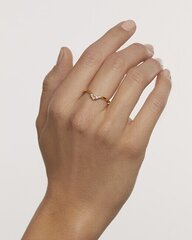 PDPaola kullatud tsirkooniumoksiidist sõrmus Mini Crown Essentials AN01-826 hind ja info | Sõrmused | kaup24.ee