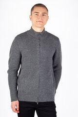 Свитер мужской Xint, серый цена и информация | свитер e193 - черный | kaup24.ee