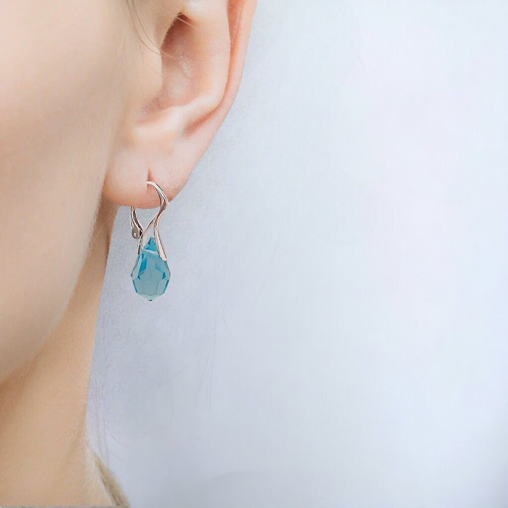 Hõbedast kõrvarõngad kristallidega naistele, I.L.U.S hind ja info | Kõrvarõngad | kaup24.ee