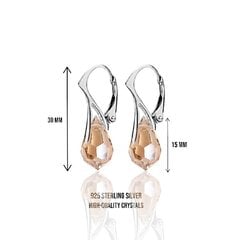 Hõbedast kõrvarõngad kristallidega naistele, I.L.U.S hind ja info | Kõrvarõngad | kaup24.ee