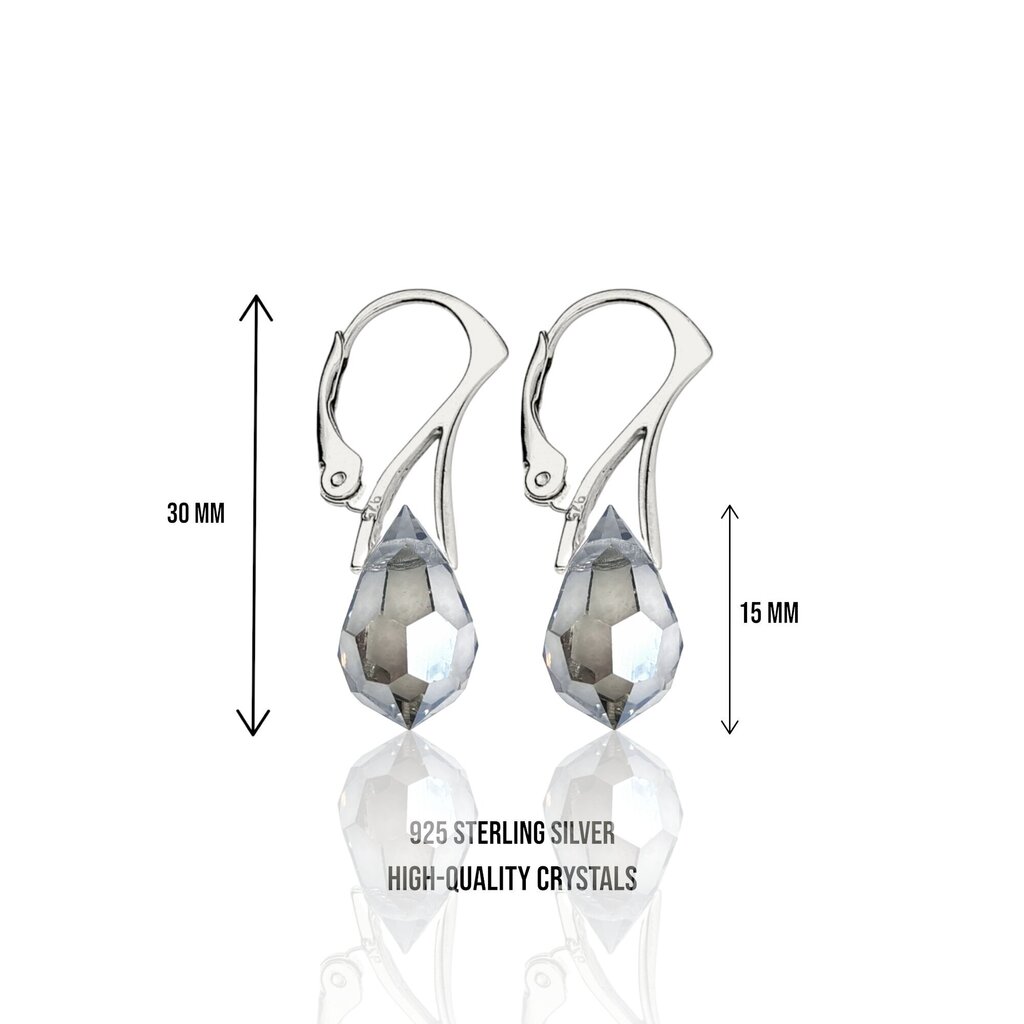 Hõbedast kõrvarõngad kristallidega naistele, I.L.U.S цена и информация | Kõrvarõngad | kaup24.ee