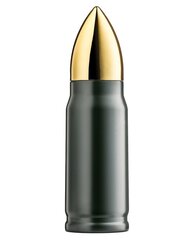 Термос Bullet, 350 мл цена и информация | Другие оригинальные подарки | kaup24.ee