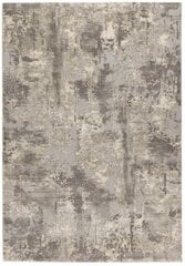 Vaip Pierre Cardin Monet 120x170 cm hind ja info | Vaibad | kaup24.ee