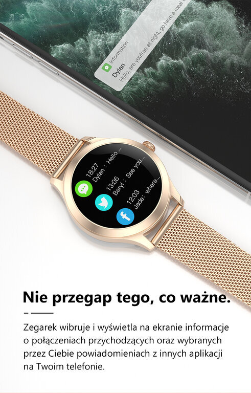 G. Rossi SW014 Silver цена и информация | Nutikellad (smartwatch) | kaup24.ee