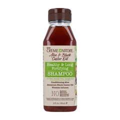 Šampoon Creme Of Nature Aloe Black Castor, 355 ml цена и информация | Шампуни | kaup24.ee