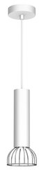 подвесной светильник dante silver 1x mini gu10 цена и информация | Люстры | kaup24.ee
