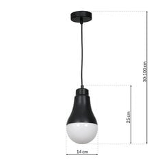 подвесной светильник helios, черный 40w цена и информация | Люстры | kaup24.ee