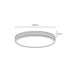 Plafoonid läikiv läbipaistev, 34w ø490 mm hind ja info | Laelambid | kaup24.ee