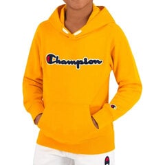 Champion pusa lastele 305249-YS022 цена и информация | Свитеры, жилетки, пиджаки для мальчиков | kaup24.ee