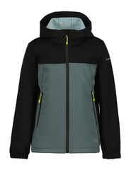 Куртка Icepeak softshell для мальчика KLINE JR, темно-зеленая цена и информация | Куртки для мальчиков | kaup24.ee