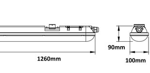 Герметичный светильник IP65 G.LUX  GX-WF-3 1X36W цена и информация | Потолочные светильники | kaup24.ee