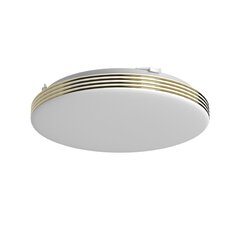 LED laevalgusti Bever, 10w led ø260 mm hind ja info | Seinavalgustid | kaup24.ee