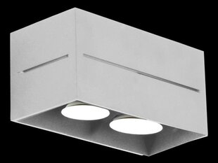 Lampex valgusti Quado Pro 2 цена и информация | Потолочные светильники | kaup24.ee