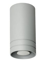 Lampex светильник Simon цена и информация | Потолочные светильники | kaup24.ee